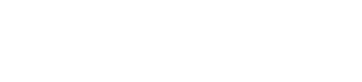 logo socialsoul